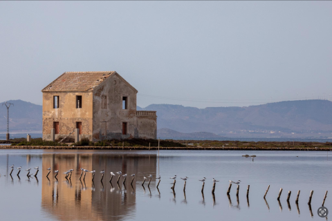Lägenhet till salu i Lo Pagan, Murcia, Spanien 3 sovrum, 140 kvm. Nr. 114878 - foto 24