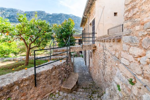 Villa à vendre Fornalutx, Mallorca, Espagne, 8 chambres, 1560 m2 No. 139206 - photo 12