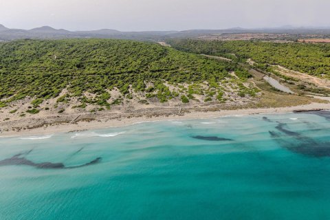 Apartment for rent Son Serra De Marina, Mallorca, Spain 2 bedrooms, 120 sq.m. No. 139207 - photo 10