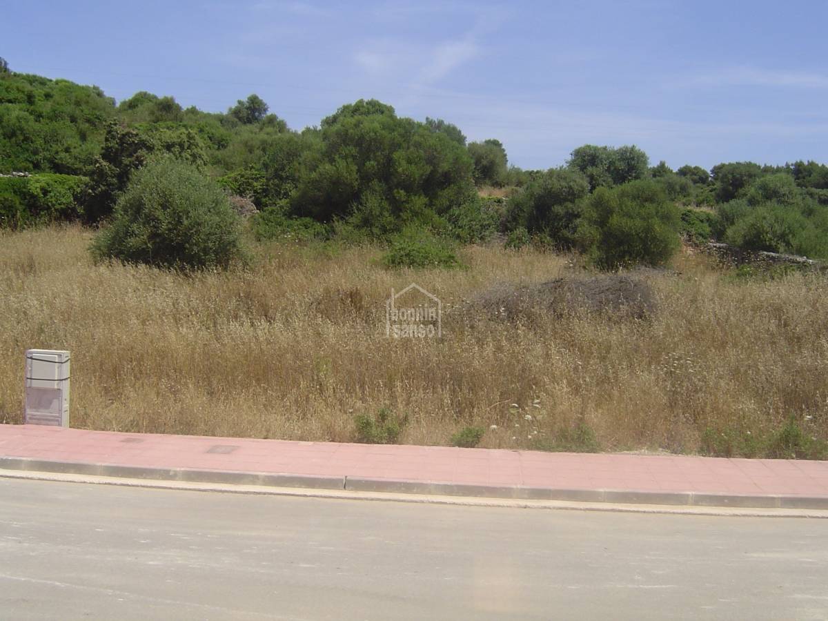 Land plot in Alaior, Menorca, Spain No. 183244