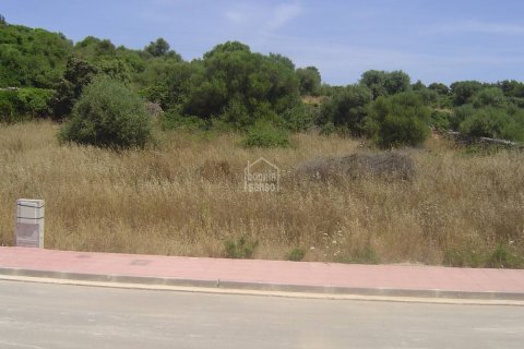 Działka w Alaior, Menorca, Hiszpania nr 183244 – zdjęcie 2