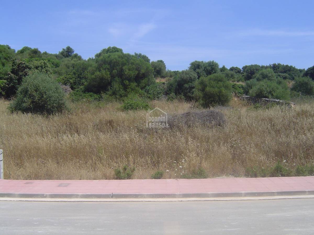 Land plot in Alaior, Menorca, Spain No. 183244