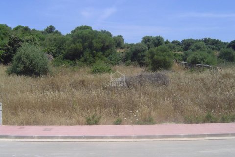 Działka w Alaior, Menorca, Hiszpania nr 183244 – zdjęcie 3