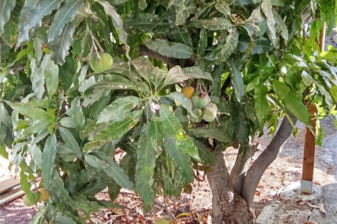 Casa adosada en venta en Los Menores, Tenerife, España 2 dormitorios, 125 m2 No. 151973 - foto 21