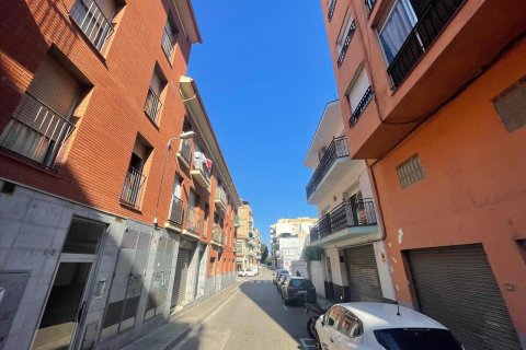 Apartment in Pineda de Mar, Barcelona, Spain 109 sq.m. No. 186667