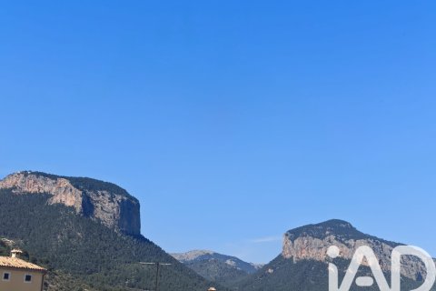 Продажа дома в Аларо, Майорка, Испания 4 спальни, 319м2 №172725 - фото 29
