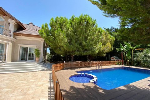 Villa à vendre Ciudad Quesada, Alicante, Espagne, 5 chambres, 363 m2 No. 115074 - photo 3