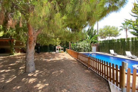 Villa à vendre Ciudad Quesada, Alicante, Espagne, 5 chambres, 363 m2 No. 115074 - photo 20