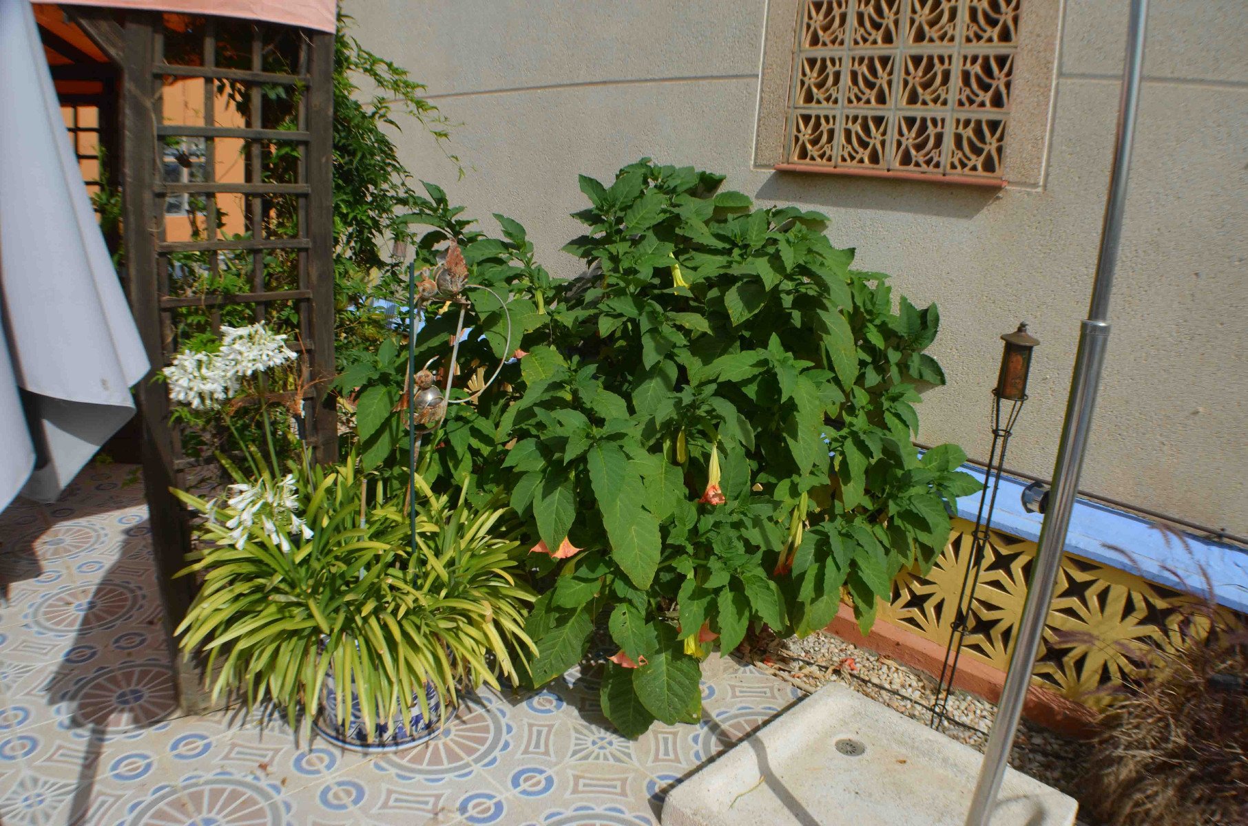 Villa in La Florida, Alicante, Spanien 4 Schlafzimmer, 145 m2 Nr. 78757