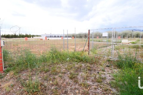 Terreno in vendita a Sant Mateu, Castellon, Spagna 3260 mq. N° 153951 - foto 2