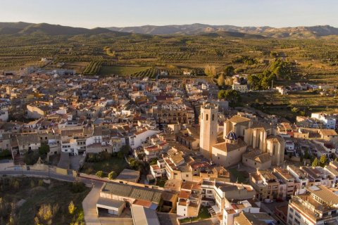 Terreno in vendita a Sant Mateu, Castellon, Spagna 3260 mq. N° 153951 - foto 7