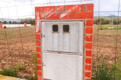 Terreno in vendita a Sant Mateu, Castellon, Spagna 3260 mq. N° 153951 - foto 3