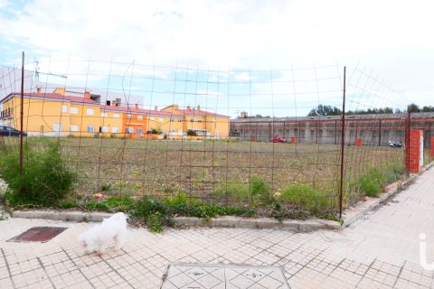 Terreno in vendita a Sant Mateu, Castellon, Spagna 3260 mq. N° 153951 - foto 4