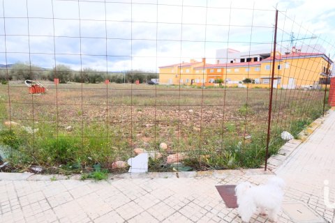 Земельный участок в Сант-Матеу, Кастельон, Испания 3260м2 №153951