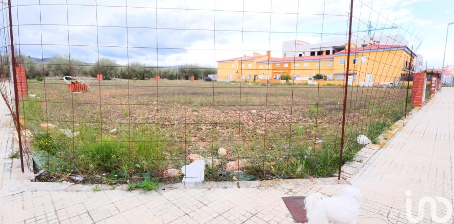 Terreno a Sant Mateu, Castellon, Spagna 3260 mq. N° 153951