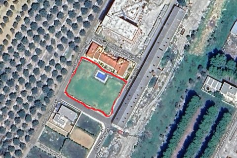 Terreno in vendita a Sant Mateu, Castellon, Spagna 3260 mq. N° 153951 - foto 8