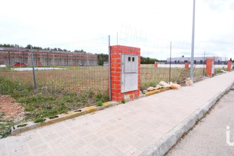 Terreno in vendita a Sant Mateu, Castellon, Spagna 3260 mq. N° 153951 - foto 5