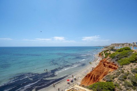 Wohnung zum Verkauf Dehesa De Campoamor, Alicante, Spanien 3 Schlafzimmer, 96 m2 Nr. 139264 - Foto 28