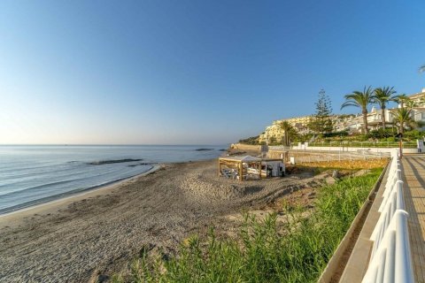 Wohnung zum Verkauf Dehesa De Campoamor, Alicante, Spanien 3 Schlafzimmer, 96 m2 Nr. 139264 - Foto 29