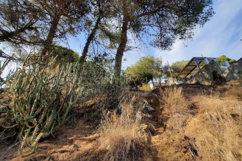 Сasa en venta en Argentona, Barcelona, España 1 dormitorio, 341 m2 No. 181313 - foto 13