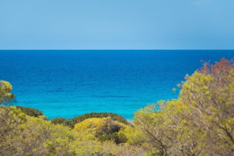 Willa w Formentera, Hiszpania 5 sypialni, 300 mkw. nr 180552 – zdjęcie 10