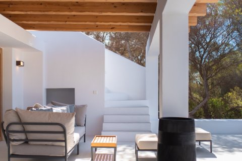 Willa w Formentera, Hiszpania 5 sypialni, 300 mkw. nr 180552 – zdjęcie 12