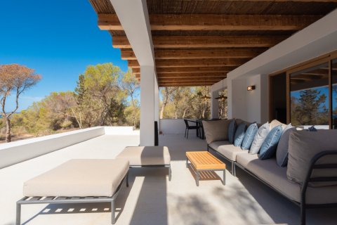 Willa w Formentera, Hiszpania 5 sypialni, 300 mkw. nr 180552 – zdjęcie 1