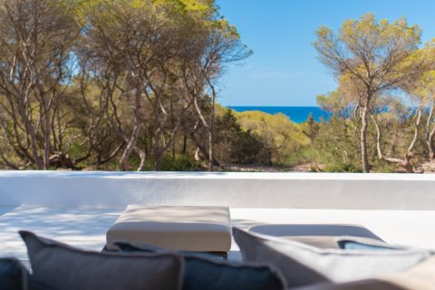 Willa w Formentera, Hiszpania 5 sypialni, 300 mkw. nr 180552 – zdjęcie 23