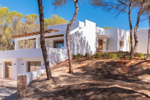 Willa w Formentera, Hiszpania 5 sypialni, 300 mkw. nr 180552 – zdjęcie 4
