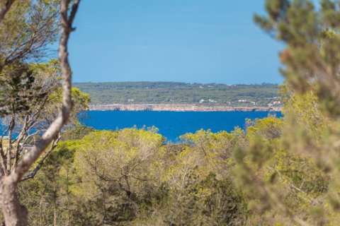 Willa w Formentera, Hiszpania 5 sypialni, 300 mkw. nr 180552 – zdjęcie 9