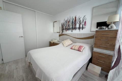 Dzīvoklis pārdošanā Guardamar del Segura, Alicante, Spānijā 3 istabas, 83 m2 Nr. 183113 - attēls 24