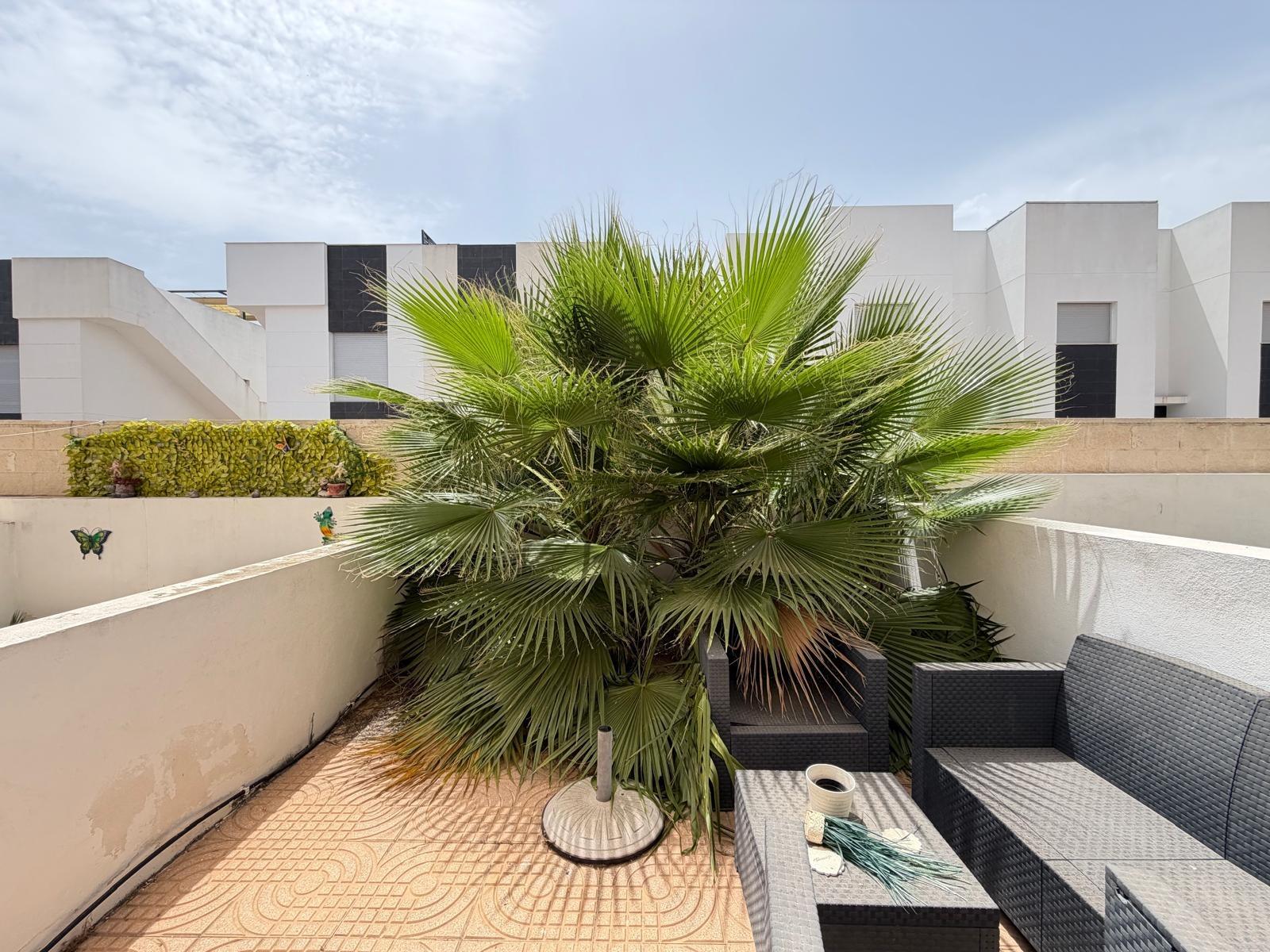 Hus i Rojales, Alicante, Spanien 2 sovrum, 90 kvm. Nr. 183108