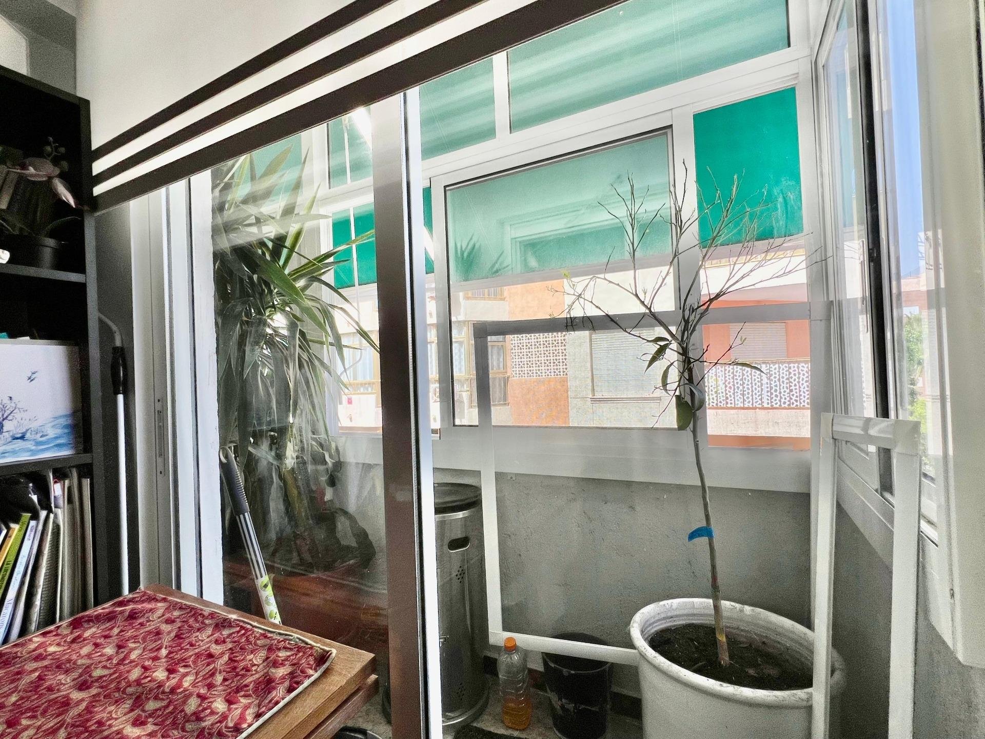 Dzīvoklis Torrevieja, Alicante, Spānijā 2 istabas, 77 m2 Nr. 183114