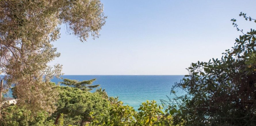 Land plot à Caldes d'Estrac, Barcelona, Espagne No. 141219