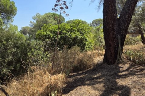 Land zum Verkauf in San Martin de Valdeiglesias, Madrid, Spanien 1050 m2 Nr. 194375 - Foto 5