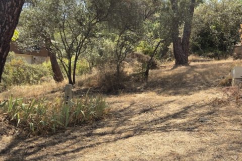 Land zum Verkauf in San Martin de Valdeiglesias, Madrid, Spanien 1050 m2 Nr. 194375 - Foto 6