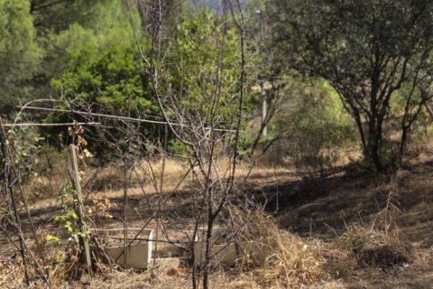 Land zum Verkauf in San Martin de Valdeiglesias, Madrid, Spanien 1050 m2 Nr. 194375 - Foto 11