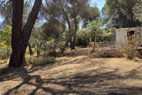 Land zum Verkauf in San Martin de Valdeiglesias, Madrid, Spanien 1050 m2 Nr. 194375 - Foto 3