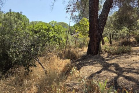 Land zum Verkauf in San Martin de Valdeiglesias, Madrid, Spanien 1050 m2 Nr. 194375 - Foto 2