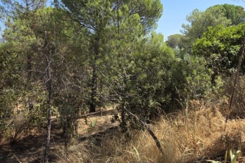 Land zum Verkauf in San Martin de Valdeiglesias, Madrid, Spanien 1050 m2 Nr. 194375 - Foto 4