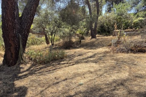Land zum Verkauf in San Martin de Valdeiglesias, Madrid, Spanien 1050 m2 Nr. 194375 - Foto 10