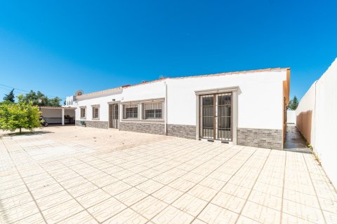 Huvila myytävänä Torrevieja, Alicante, Espanja, 4 makuuhuonetta, 159 m2 No. 189434 - kuva 17