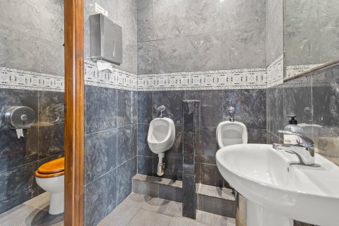 Komerciāls īpašums pārdošanā Los Dolses, Alicante, Spānijā 1 istaba, 172 m2 Nr. 140649 - attēls 16