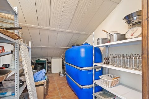 Komerciāls īpašums pārdošanā Los Dolses, Alicante, Spānijā 1 istaba, 172 m2 Nr. 140649 - attēls 30