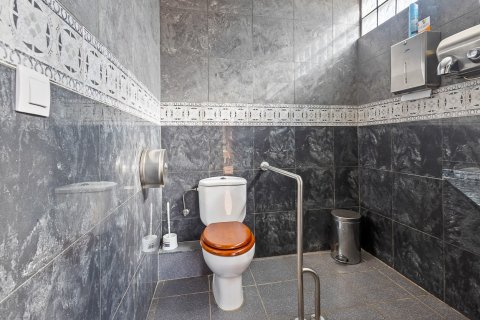 Komerciāls īpašums pārdošanā Los Dolses, Alicante, Spānijā 1 istaba, 172 m2 Nr. 140649 - attēls 14