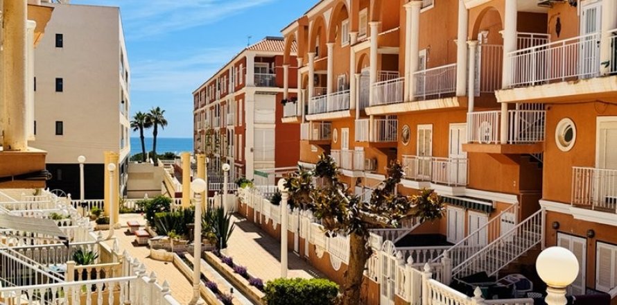 Kaupunkipientalo Torrevieja, Alicante, Espanja 2 makuuhuonetta, 75 m2 No. 140648