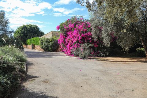 Gewerbeimmobilien zum Verkauf in Llucmajor, Mallorca, Spanien 20 Schlafzimmer, 2000 m2 Nr. 147940 - Foto 23