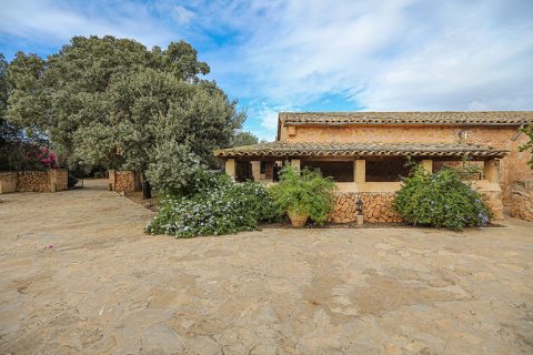 Gewerbeimmobilien zum Verkauf in Llucmajor, Mallorca, Spanien 20 Schlafzimmer, 2000 m2 Nr. 147940 - Foto 5