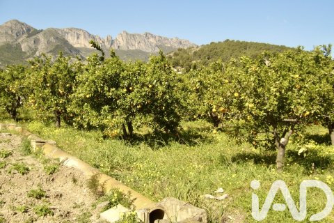 Terreno in vendita a Polop, Alicante, Spagna 1900 mq. N° 185286 - foto 2