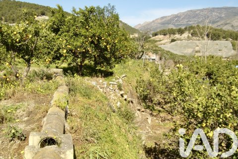 Terreno in vendita a Polop, Alicante, Spagna 1900 mq. N° 185286 - foto 3